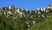 Trail Walking La Roquebrussanne - 10844300-chapelle st andre ,grotte 400 moutons source oris - Photo 20