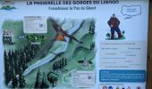 Tour Wandern Saint-Maurice-de-Lignon - boucle passerelle du lignon-11 km - Photo 12