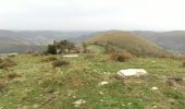 Trail Walking Ibarrolle - Au-dessus de IBAROLLE - Photo 10