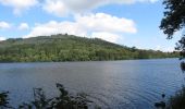 Randonnée A pied Inconnu - Castlewellan Forest Park - Moorish Tower Walk - Photo 10