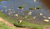 Excursión Senderismo Les Angles - Le barrage des Bouillouses et les 12 lacs. - Photo 2