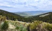 Tocht Mountainbike Pont de Montvert - Sud Mont Lozère - la Brousse /Station du Mont Lozère - Photo 6