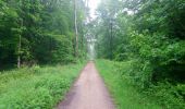 Percorso Marcia Le Mesnil-le-Roi - Huit dans la forêt  - Photo 3