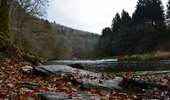 Tocht Stappen Herbeumont - RB-Lu-23_Herbeumont - Photo 2