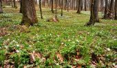 Percorso A piedi Gräfendorf - Schwarzer Fuchs, Rundwanderweg Gräfendorf - Photo 6