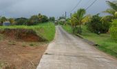 Excursión Senderismo Le Lorrain - Chemin Gauthier - Chemin Tanic - Photo 1