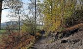 Trail Walking La Louvière - A travers les terrils - Saint Vaast - Bois du Luc - Photo 5