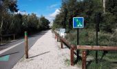 Trail Walking Loriol-du-Comtat - loriol - Photo 2