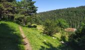 Trail Walking Septmoncel les Molunes - Sentier des Diots - Photo 1