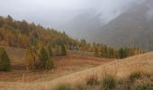 Trail Walking Molines-en-Queyras - gardiole de l'alp - Photo 2