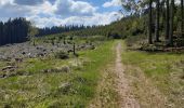 Tocht Stappen Stoumont - cour . borgoumont . moulin du ruy . andrimont . cour - Photo 11