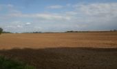 Tocht Stappen Montmain - 20220915-Montmain  - Photo 2