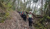 Trail Walking Saint-Maximin - Avalon-Pontcharra - Photo 8