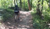 Trail Walking Sprimont - combain-au-pont vers camping des - Photo 4