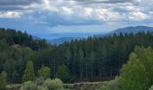 Tour Wandern Pied-de-Borne - Le tour du chassezac - Photo 17