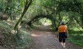 Trail Walking Pont-Aven - le bois d'Amour - Photo 1
