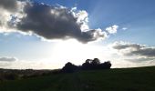 Tour Wandern Anthisnes - hody . hestreux . targnon . hody - Photo 3