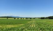 Randonnée Marche Heimsbrunn - Heimsbrunn Hocha Froeningue Galf retour  - Photo 1