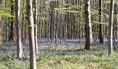 Tocht Stappen Belœil - bois stambruges - Photo 4