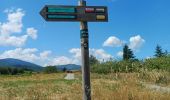 Tour Wandern Chavanay - bessey - Photo 3