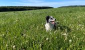 Trail Walking Libramont-Chevigny - Bras - Photo 4