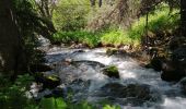 Tour Wandern Eyne - vallée d' eyne - Photo 2