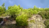 Trail Walking Conilhac-Corbières - CONILHAC - lausines - Photo 17
