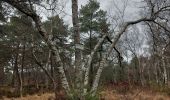 Tour Wandern Fontainebleau - Cuvier-Chatillon, Balade des Mares - Photo 1