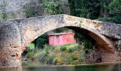 Randonnée Marche Sillans-la-Cascade - Traversée Sillans - Cascade - Chemin du train des pignes - Ruines chateau Salernes -  Piscine Salerne - Bord de rivière - Chapelle St Laurent - Photo 13