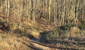 Tocht Stappen Compiègne - en forêt de Compiègne_47_autour des Beaux Monts - Photo 17