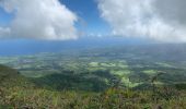 Excursión Marcha nórdica L'Ajoupa-Bouillon - La pellée - Photo 19