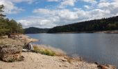 Trail Walking Badonviller - Tour du lac de Pierre-Percée depuis les cabanes du lac - Photo 15