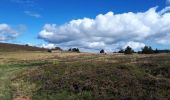 Tour Mountainbike Saint-Anthème - Descente barracuchet Montbrison - Photo 4