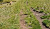 Tocht Stappen Unknown - soldeu ransol reco 2024/06/03 - Photo 15