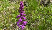 Trail Walking Revel - Lac du Crozet - Photo 14