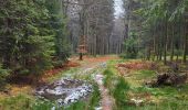 Trail Walking Houffalize - Pisserotte 151224 - Photo 14