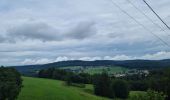 Excursión Bicicleta híbrida La Neuveville-devant-Lépanges - Sortie vélo 21 juillet  - Photo 2