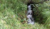 Excursión Senderismo Puy-Saint-Eusèbe - canal de reyssas jusqu'aux Touisses / retour par le GR Serre-Ponçon via ravin de la pisse  - Photo 1