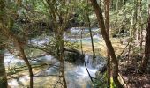 Randonnée Marche Nans-les-Pins - 
