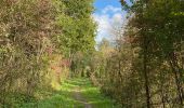 Trail Walking Oud-Heverlee - S-GR Dijleland: Sint-Joris-Weert - Leuven - Photo 17