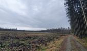 Trail Walking Libramont-Chevigny - rando laneuville(libramont)18/02/2021 - Photo 1