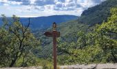 Excursión Senderismo Le Bar-sur-Loup - rando - Photo 6