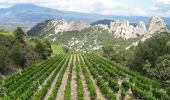 Randonnée V.T.T. Bédoin - Tour des dentelles depuis Bédoin  VTT AE - Photo 4