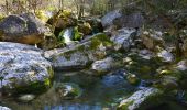 Randonnée Marche Tourves - Tourves- Le Saut du Cabri - Les gorges du Caramy - Photo 13