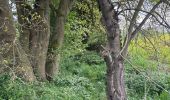 Trail Walking Namur - Cognelée Fort Marchovelette boucle - Photo 1