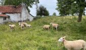 Percorso Marcia Merchtem - Brussegem nord 7,3 km - Photo 3