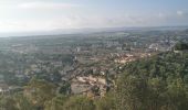 Tocht Stappen Hyères - verger du pont - Photo 9