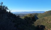 Tour Wandern Fréjus - Malpey avec pierre le 15/11/2024 - Photo 5