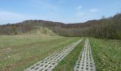 Trail On foot Asbach-Sickenberg - Premiumweg P16 Asbach-Sickenberg - Photo 5