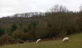 Trail Walking Anhée - maredsous par temps de pluie - Photo 5